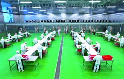 瑞金市聚道食品肉牛產(chǎn)業(yè)數(shù)智工廠(chǎng)生產(chǎn)忙